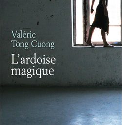 Roman de Valérie Tong Cuong