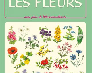 Les fleurs -Usborne