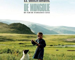 Le chien jaune de mongolie