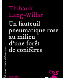 Un fauteuil pneumatique