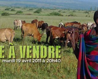 Planète à vendre