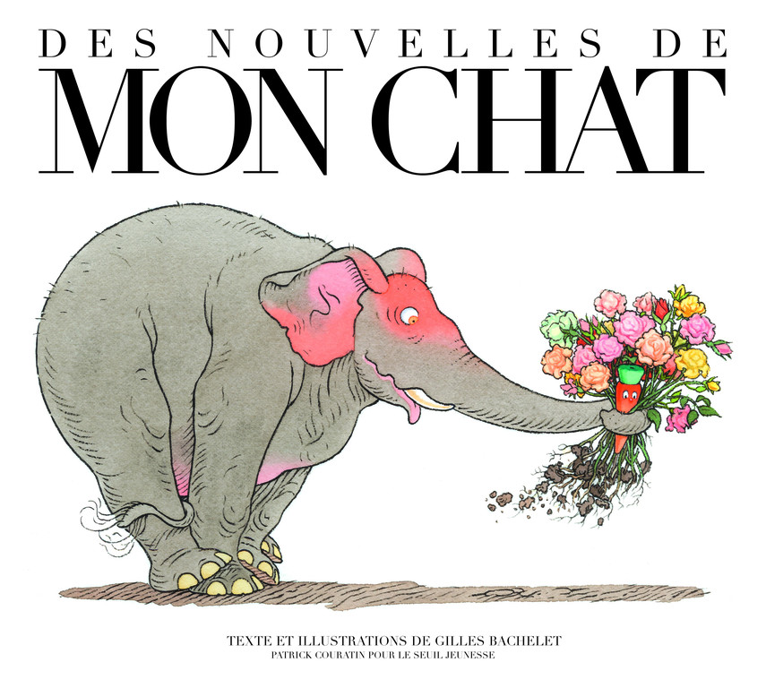 Des nouvelles de mon chat