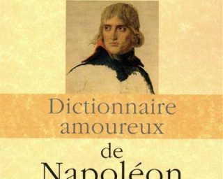 Napoléon : un dictionnaire amoureux et sans concession