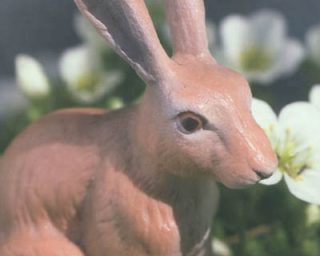 Tuomas Kyrö : Partez en Laponie avec un lapin