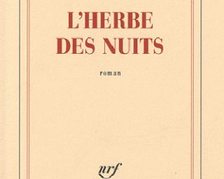 L'herbe des nuits