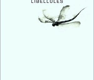 libellules