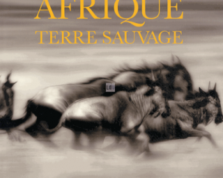 intimité Afrique