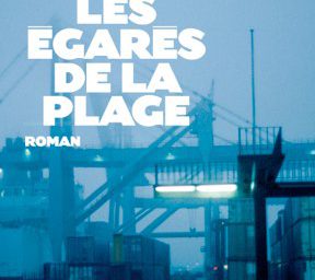 Les égarés