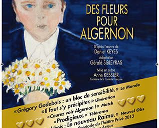 Des fleurs pour Algernon