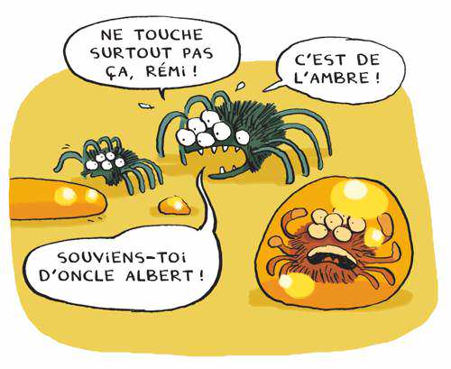 fossiles