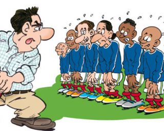 Coqs en stock
