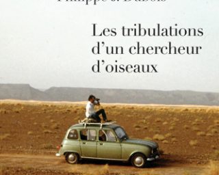 Tribulations
