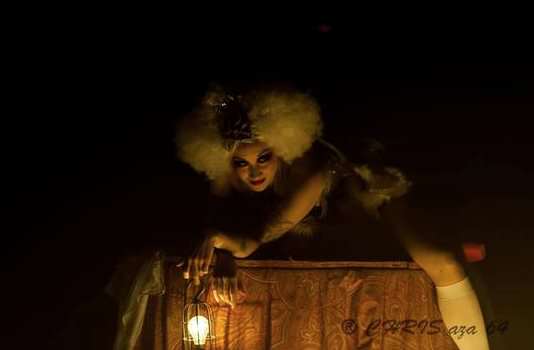 Cirque Electrique