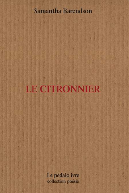 Le citronnier