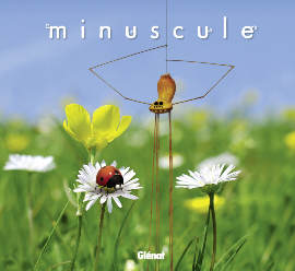 minuscule