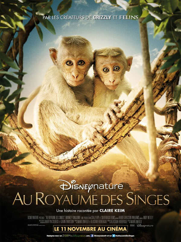 Au royaume des singes