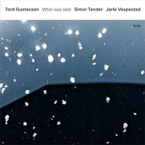 Tord Gustavsen - What we said