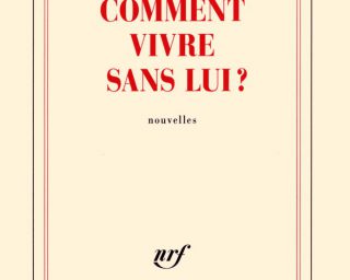 Franz Bartelt - Comment vivre sans lui ?