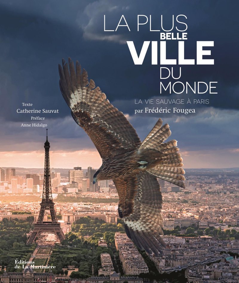 Plus belle ville du monde - Paris